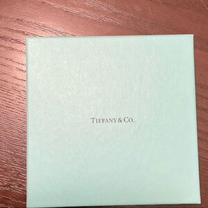 Tiffany & Co. Aqua Gift Box